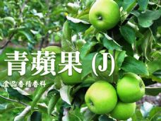 青蘋果香精香料(J)